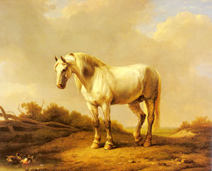 白色 种马  在  一个  风景