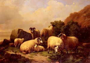 羊の放牧 で  ザー  海岸