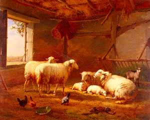 Pecore con polli e un capra in un fienile