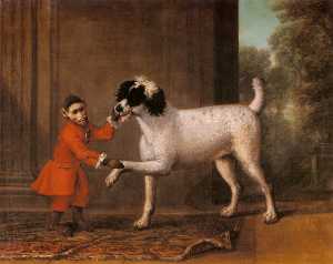 一个 喜爱 贵宾犬 和猴 属于 托马斯·奥斯本