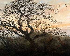 дерево вороны