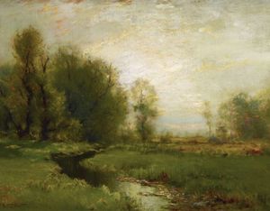 A Stream Through the Meadow