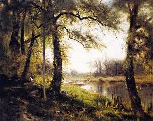 A wooded landscape