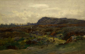 Moorland landscape