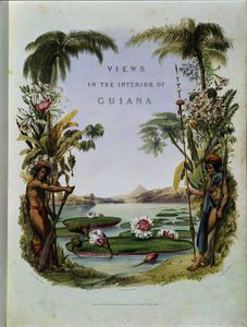 Frontispiece to 'Views in the Interior