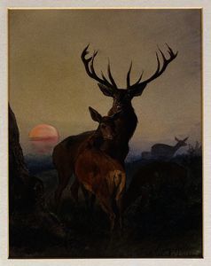 A Stag with Deer in a Wooded Landscape at Sunset