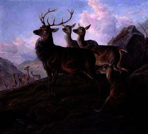 Red Deer in a Highland Landscape