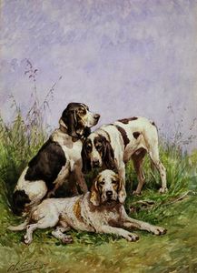 a gruppo di francese `hounds`