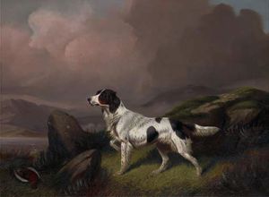 A setter in a moorland landscape