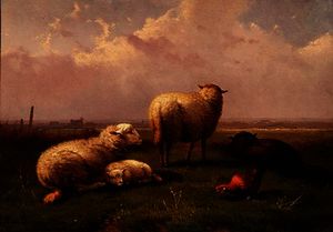 овцы дремлющий  в     Пастбищ