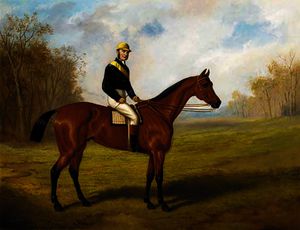 A racehorse with jockey up
