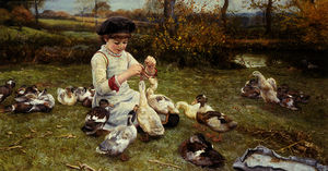 Alimentando patos