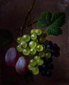 Un ancora  vita  con  uva  e le  Prugne