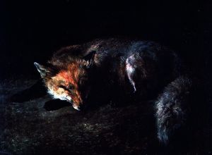 睡眠 狐