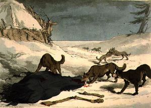 The wolf hunt