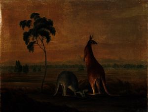 Canguri in un paesaggio , c . 1819