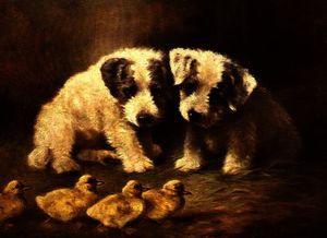 Sealyham Puppies and Ducklings