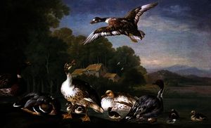 selvaggio `fowl` , 18th secolo