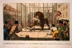 il lotta tra leone wallace e il i cani tinker and ball nel cortile della fabbrica nel Città