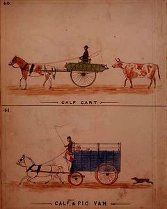 The Calf Cart and the Calf