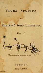 Flora Scotica by The Revd John Lightfoot title page