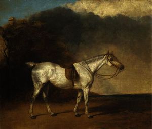 A saddled grey hunter in a landscape