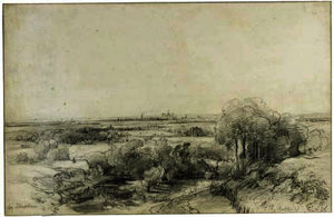 Panoramic view of haarlem with the ruins of castle brederode