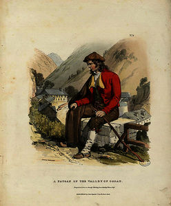 A Paysan of the Valley of Ossau