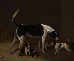 Un foxhound e la sua cucciolata