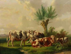vacas en un campo