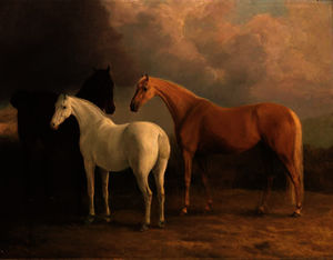 A bay hunter, a palomino and a grey pony, in a landscape