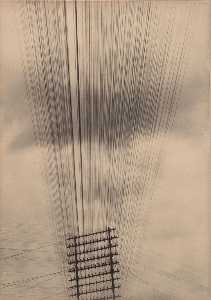 Telegraph wires
