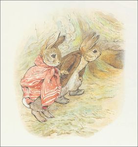 Benjamin bunny 8a - (11x11)