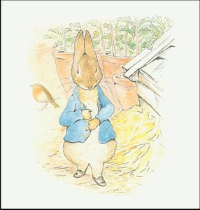 Peter rabbit 10a - (11x11)