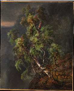 カバノキ ツリーに a 嵐 ( 1849 )