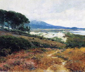 Kalifornien-Mohnblume-Feld, (1920)
