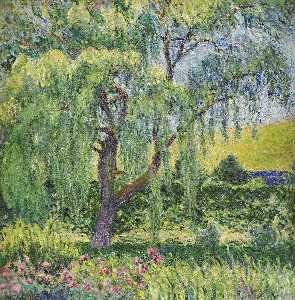 Giverny , Saule et roses