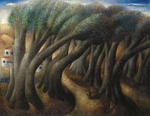 anciano Sicomoro  árboles  1927