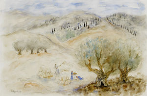 Raccolta delle olive a Nazareth, (1936)