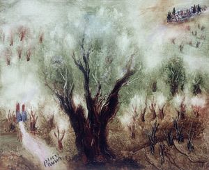 Olive Trees in the Galilee - (01)