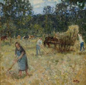 Hay mowing