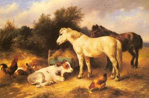 Pony, un vitello e pollame in un cortile