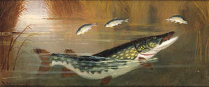 A pike in still water; and hooking a salmon