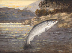 Un salto del salmón; y un salto de trucha arco iris