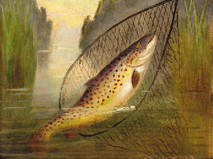 A trout in a net; and a salmon on a line