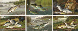 Perch; salmon and trout; roach; pike; barbel and chub; and trout - the first leap