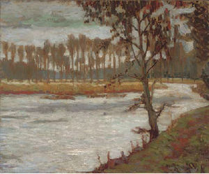 A row of poplar trees by the river