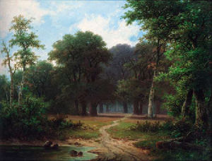 A path through a woodland