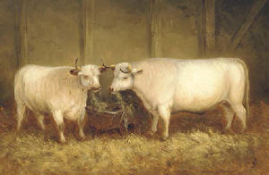 Two longhorn cattle by a manger