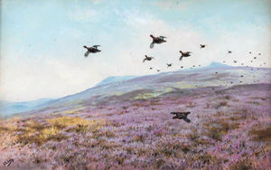 Grouse in a moorland landscape